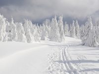 Trail Skiing on Mount Hood – A Long Standing Tradition