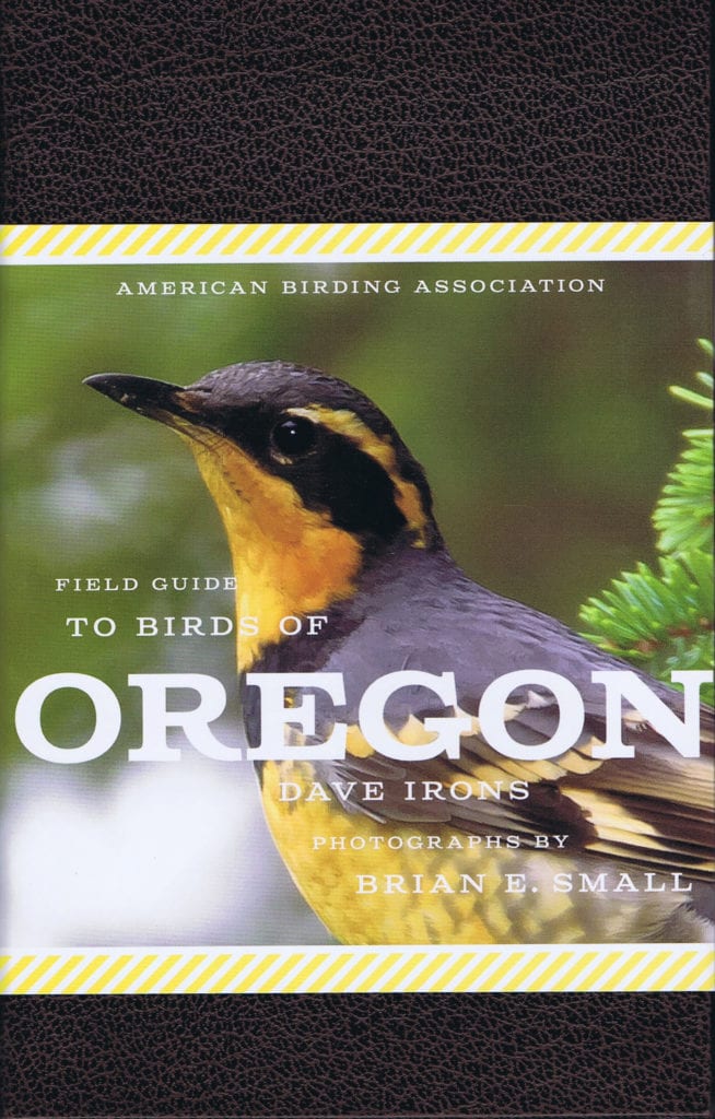 American Birding Association, Author at American Birding Association